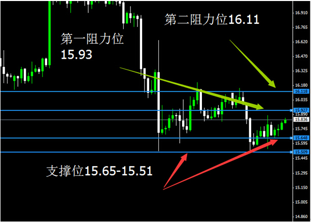1224晚白美.jpg