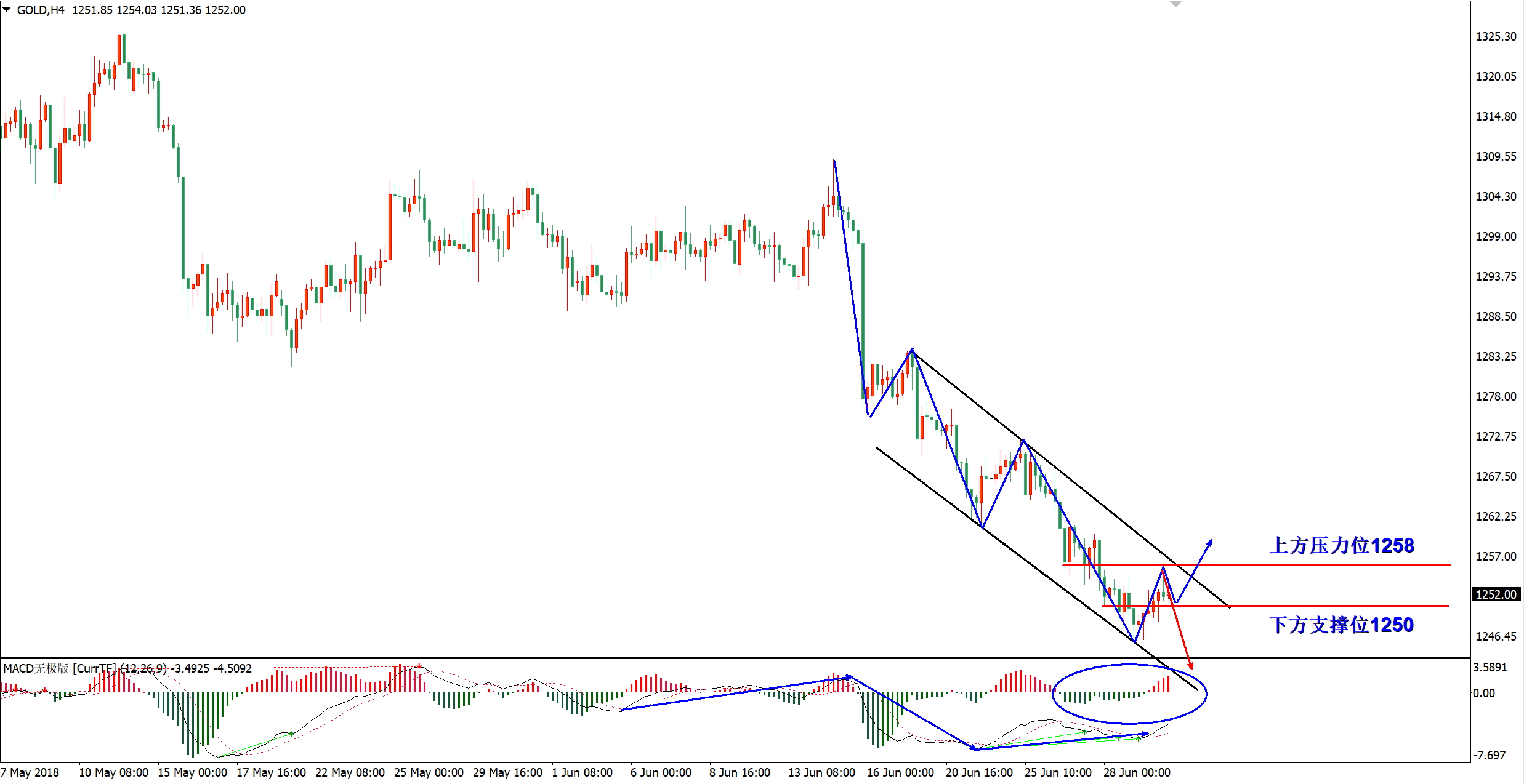 00000.png 00000.png